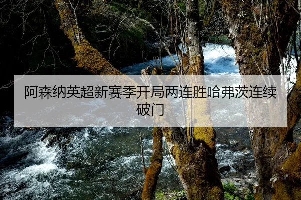阿森纳英超新赛季开局两连胜哈弗茨连续破门